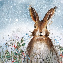 Amnesty International Festive Cards - Painted Hare - Pack of 10