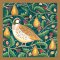 Amnesty International Festive Cards - William Morris Partridge in a Pear Tree - Pack of 10